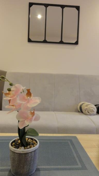 Le Belvedere Dernier Etage Avec Terrasse Wifi Fibre Apartment Tarbes Luaran gambar
